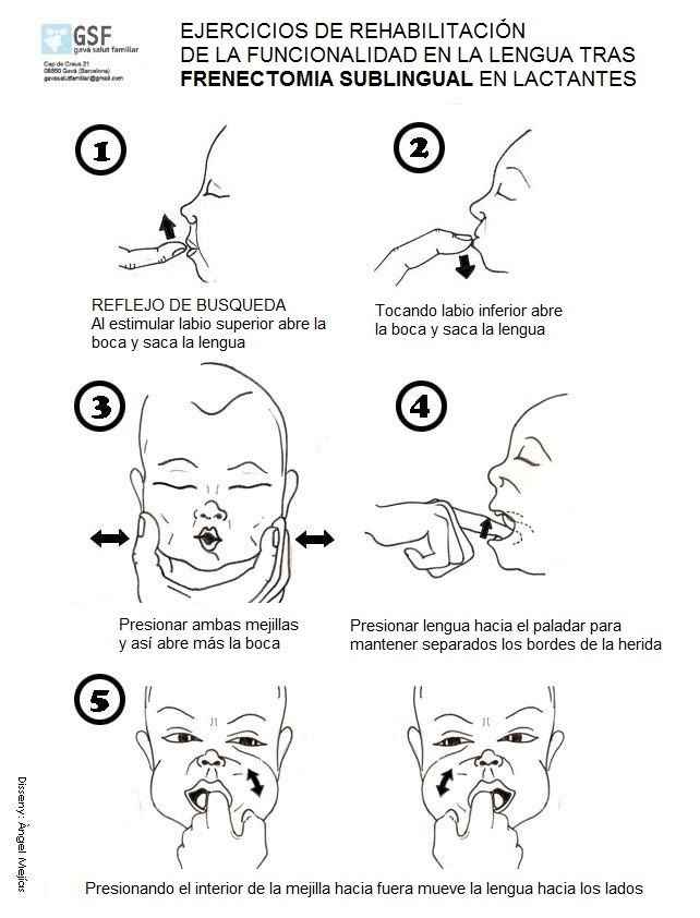 Apoyo a la lactancia materna - 3