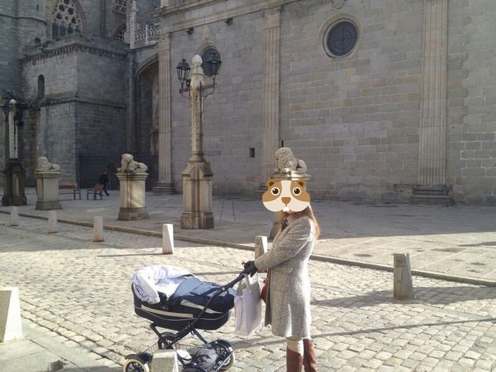 Carrito