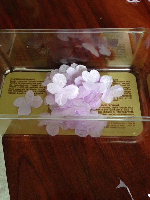 mariposas de arroz 2