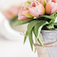 Tulipanes