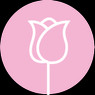 LaVidaEnRosa