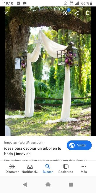 Ayuda para decorar un árbol. - 1
