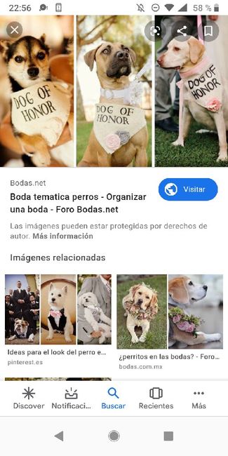 Temática peludos... 3