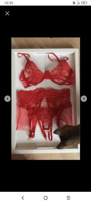 Ropa interior boda o noche de pasión😅 - 25
