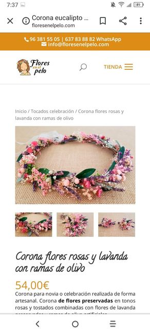 Corona de hojas - 1