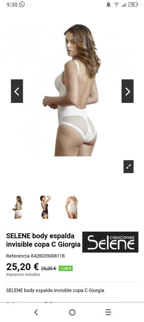 Body reductor - 3