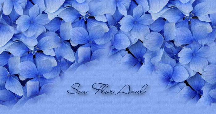 flores azules