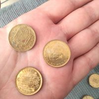  Cómo limpiar mis aras - 2