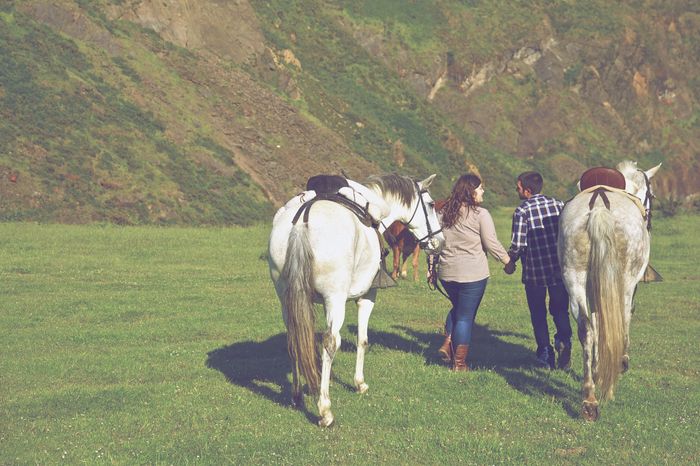 Reportaje preboda con nuestros caballos - 2