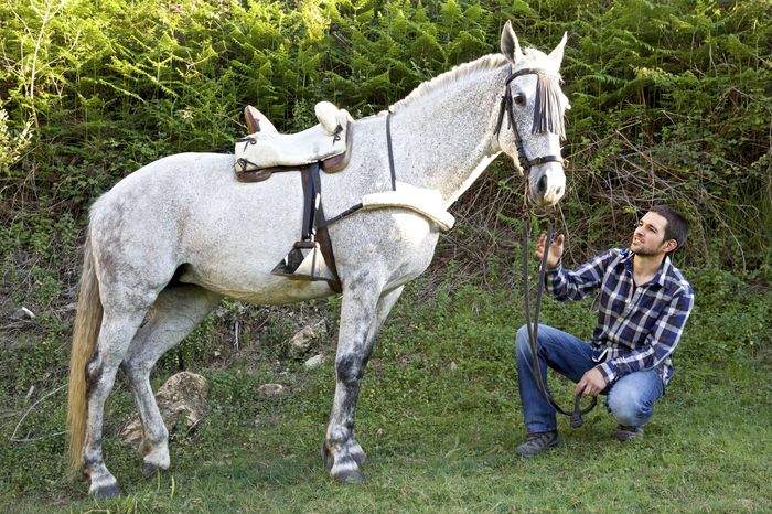 Reportaje preboda con nuestros caballos - 11