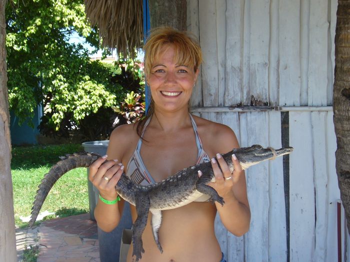 cocodrilo