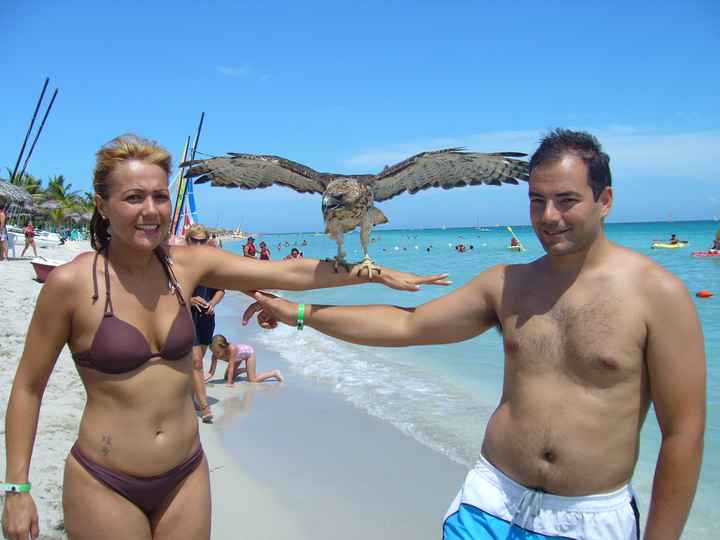 con un aguila cubana