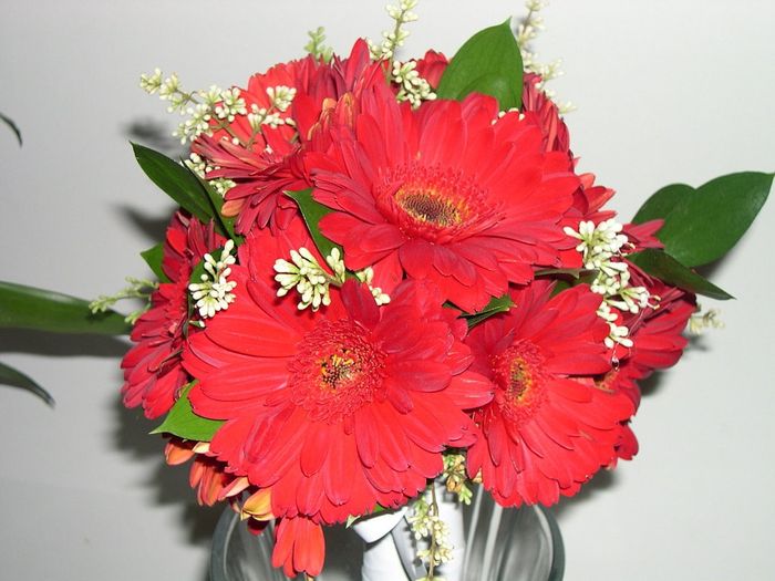 me encantan!!