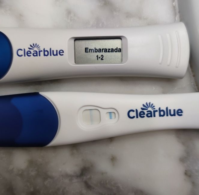 Buscadoras Febrero 2023 🤞🏻✨ 3