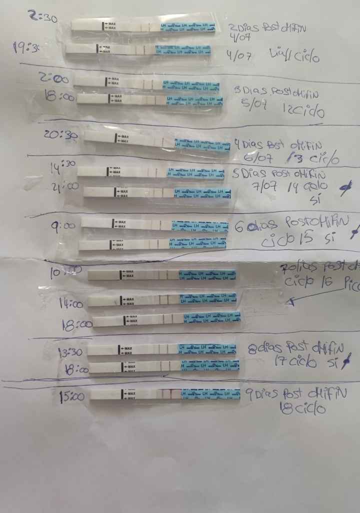 Primer embarazo muy buscado, cuánto costó el segundo? - 1