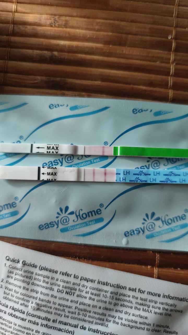 Primer embarazo muy buscado, cuánto costó el segundo? - 1