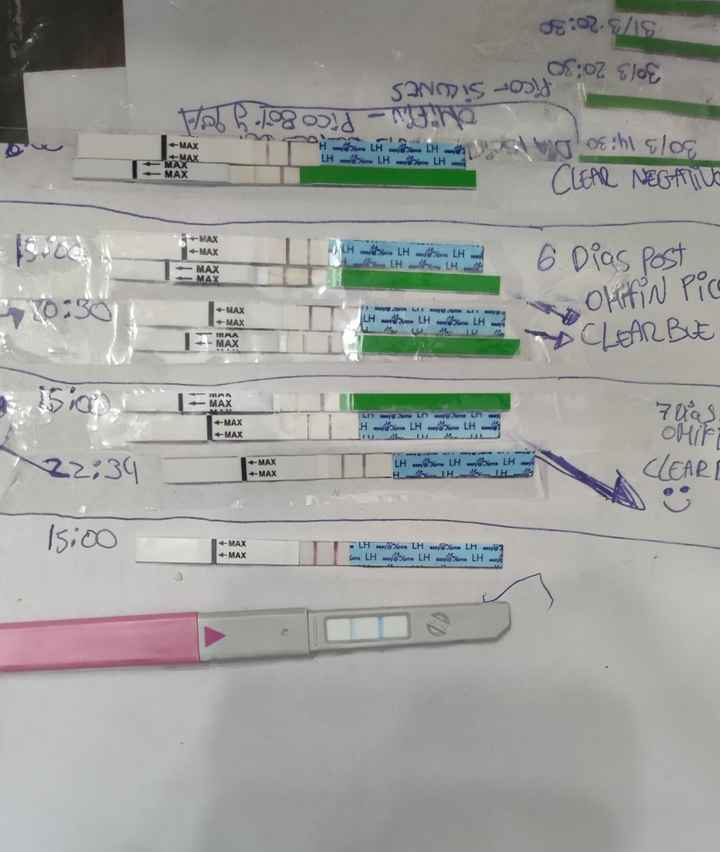 Primer embarazo muy buscado, cuánto costó el segundo? - 1