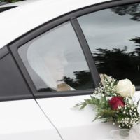 Flores coche