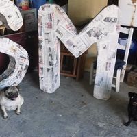 Galia y Asia