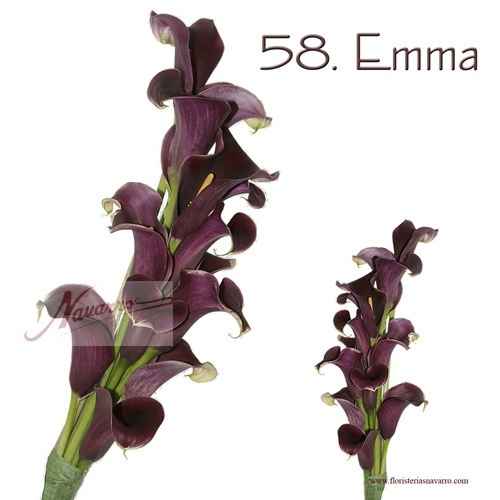 ramo emma