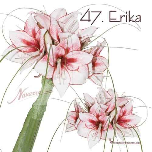 erika