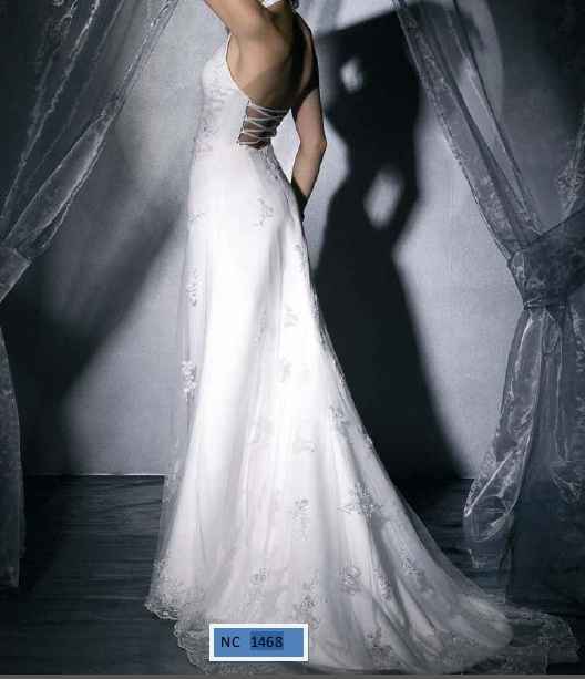 modelo 6