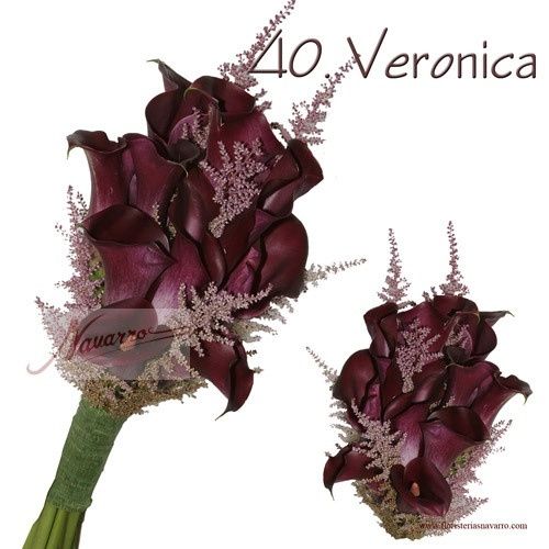veronica