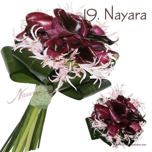 ramo nayara