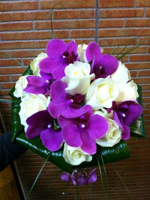 rosas 