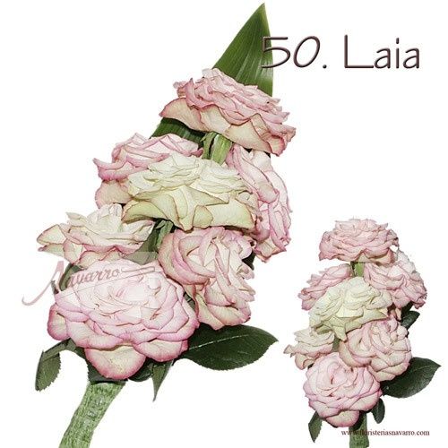 laia.