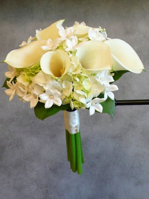 ramo blanco