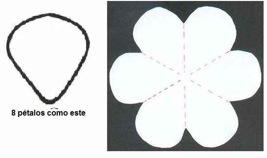 Plantilla