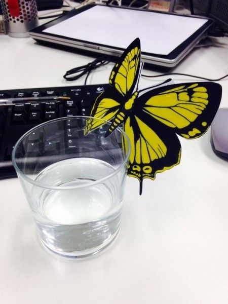 Mis mariposas