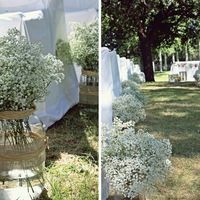 Floristería y decoración. - 1