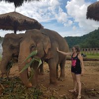 Dudad tailandia! - 1