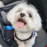 Alejandro