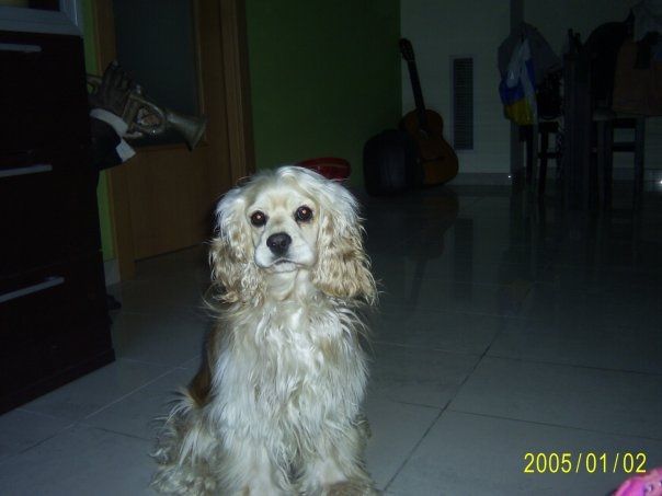 guapa