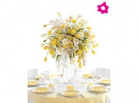 dmdft