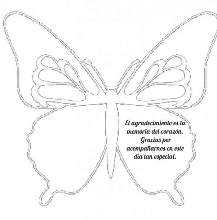 1 mariposa