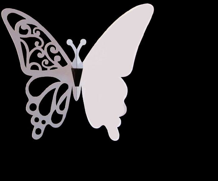 plantilla