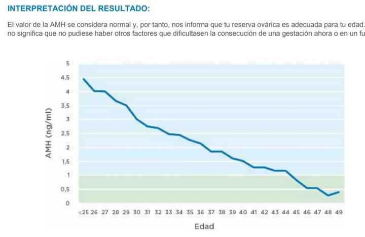 Buscadoras de diciembre 2021! - 1