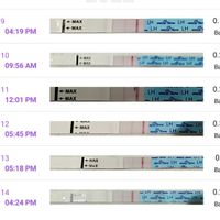 buscadoras febrero 2022 - 1