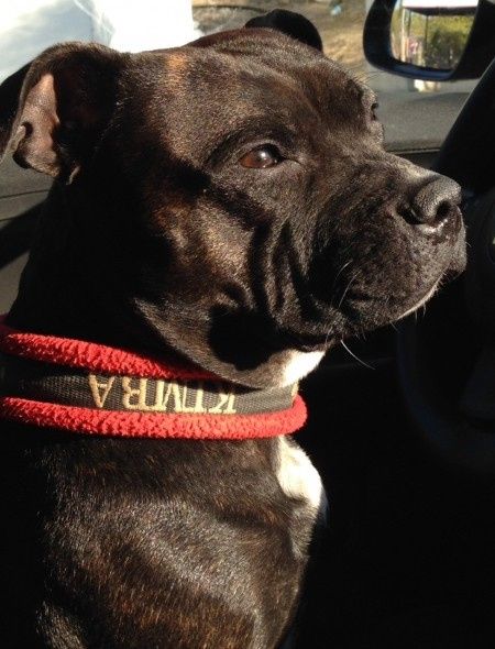 kimba!! 