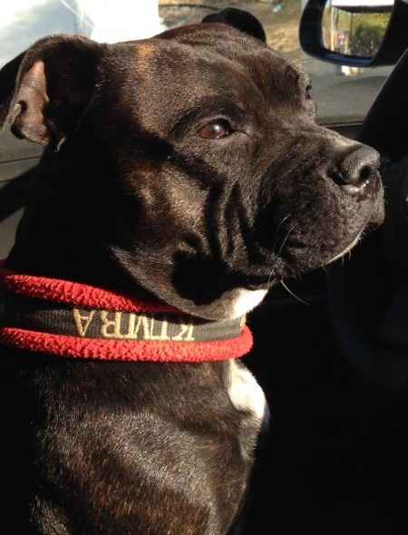 kimba!! 