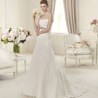 modelo udine 2014