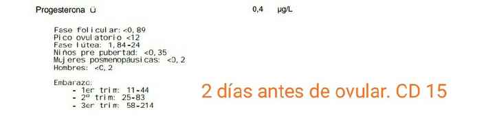 Buscadoras Septiembre 2020. 💕 - 1