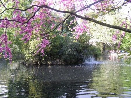 Parque del Capricho