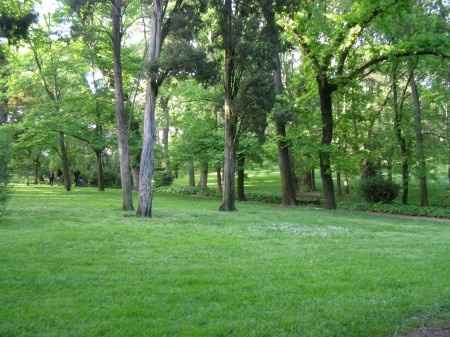 Parque del Capricho
