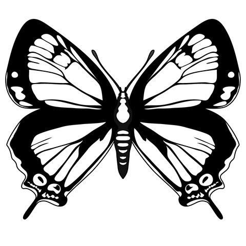 Plantilla mariposas - 2