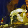Mayte